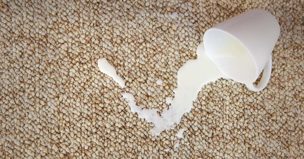 Carpet cleaning calamity