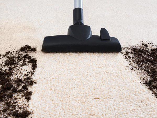 carpet cleaning