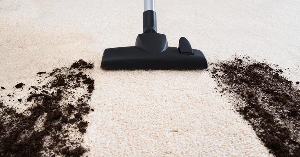 carpet cleaning