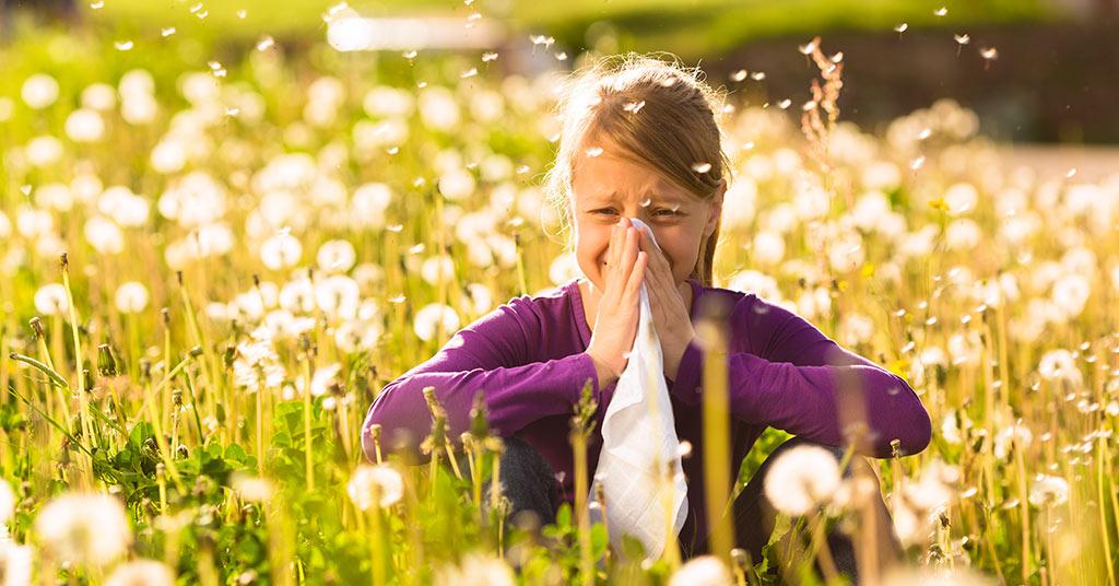 Hay fever
