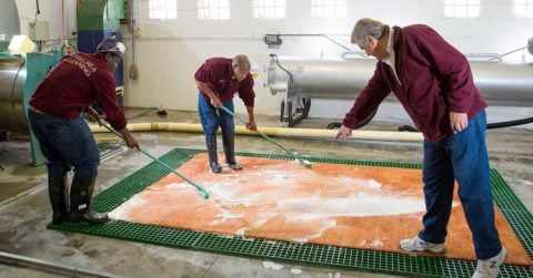Chelsea's Unbeatable Process for Cleaning Rugs