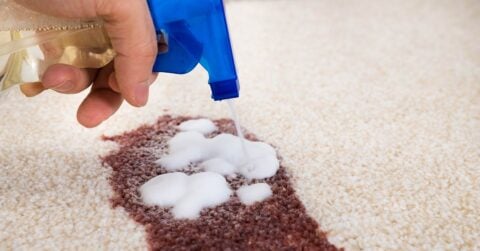 dangers of diy carpet cleaning