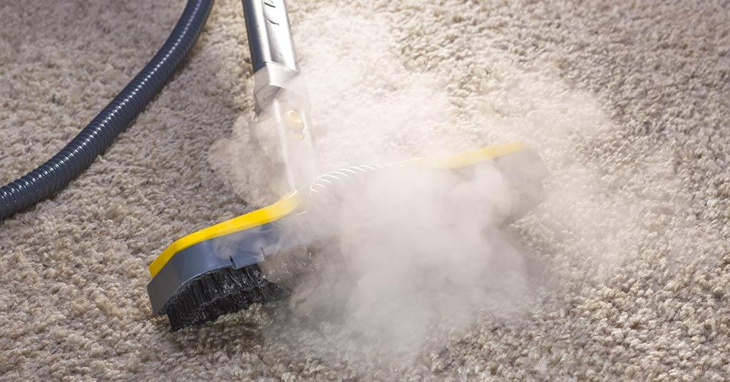 carpet-allergy.jpg