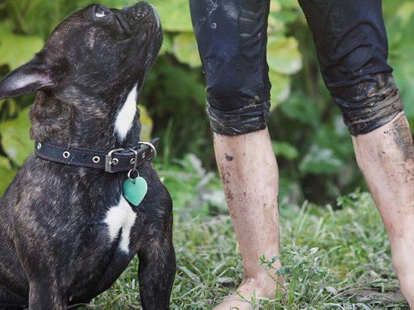 muddy feet children pets