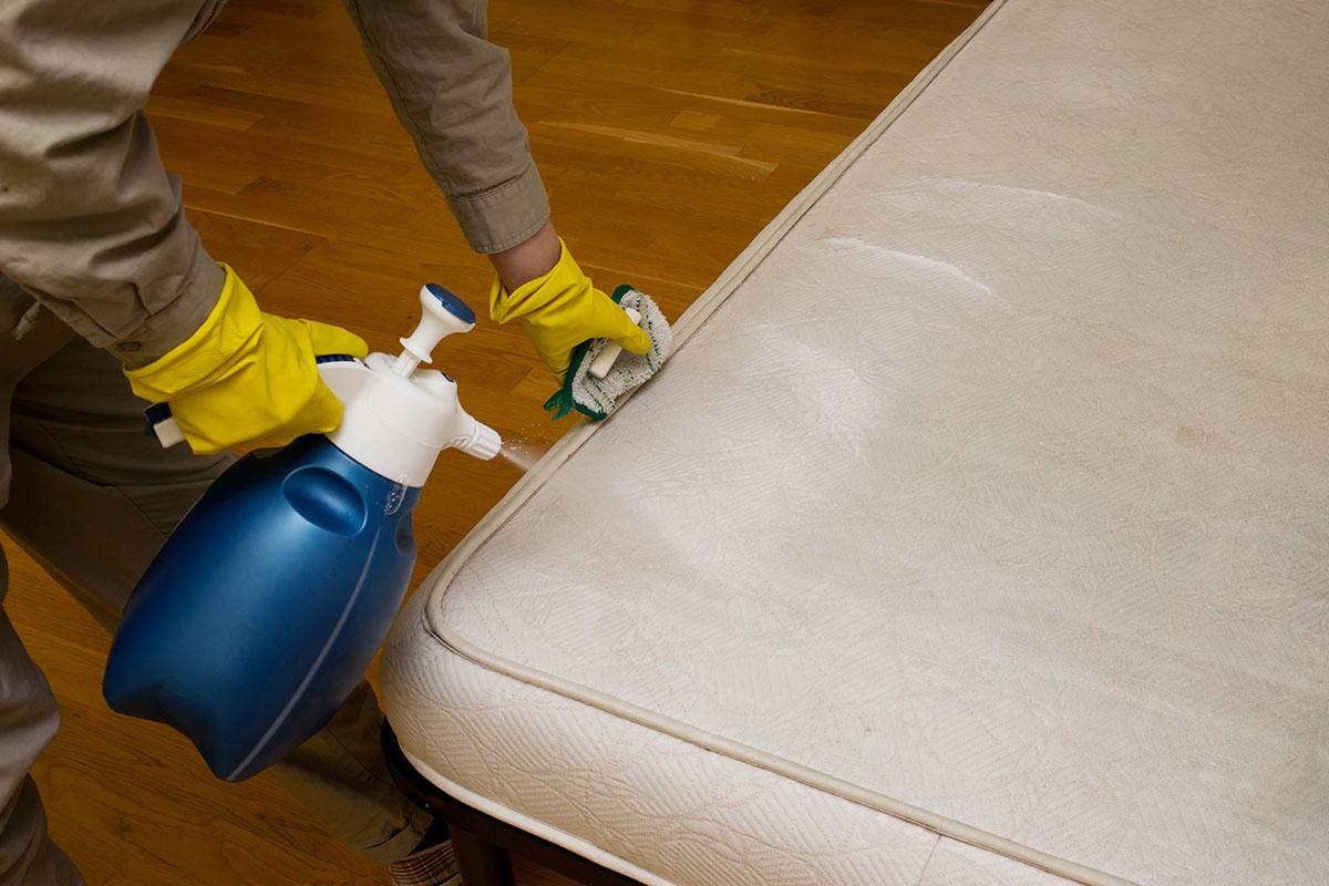 mattress cleaning