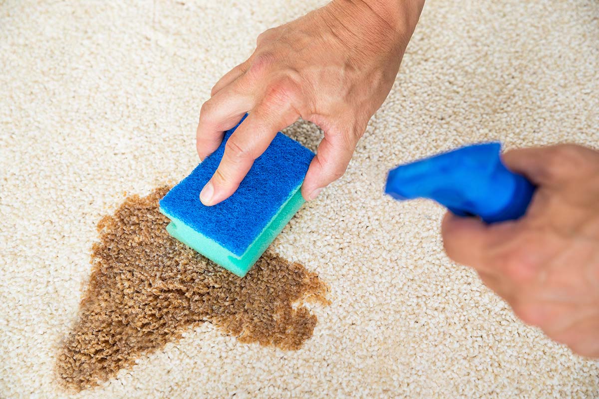 removing stain from carpet