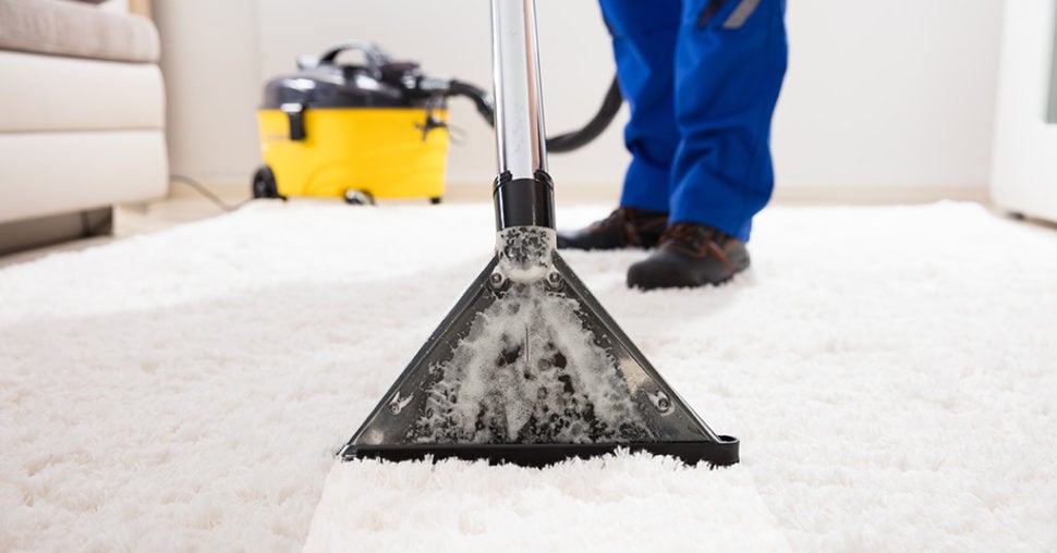 hire rent carpet cleaner professional