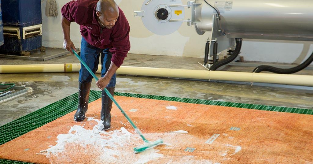 professional cleaning loose rugs carpets
