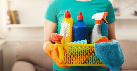 carpet cleaning cape town