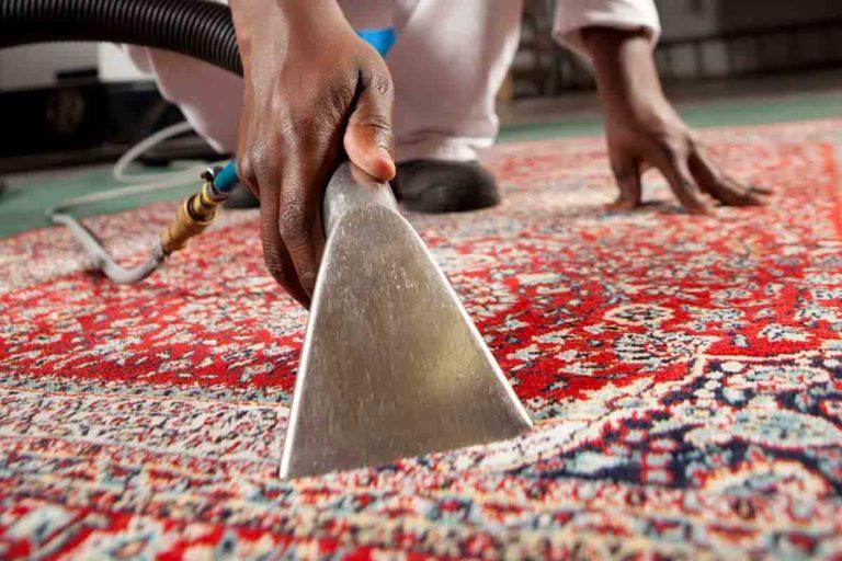 Rug cleaning
