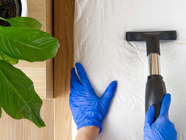 professional mattress cleaning