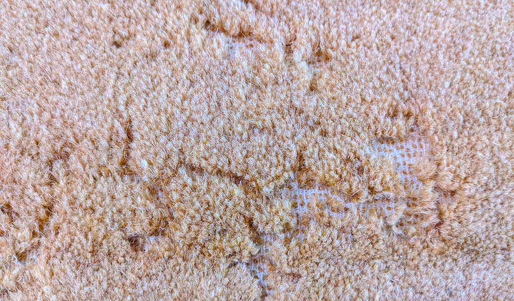 carpet cleaning mistakes not spot testing