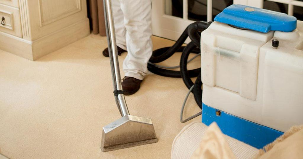 steam-cleaning carpets