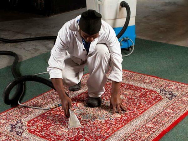 professional carpet cleaning
