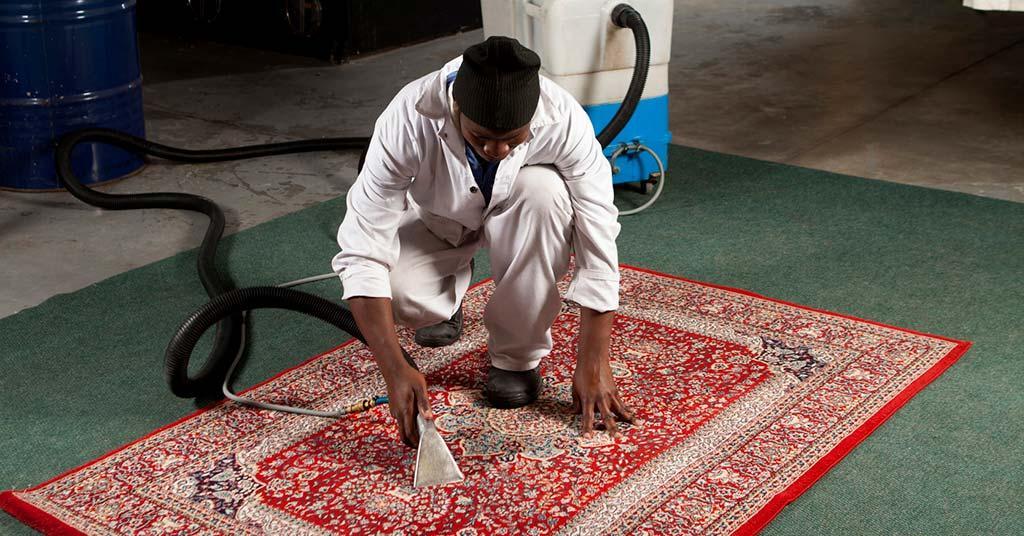 professional carpet cleaning