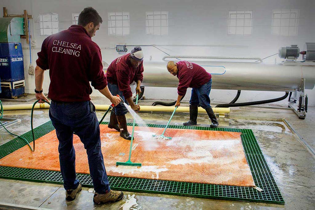 professional carpet cleaning