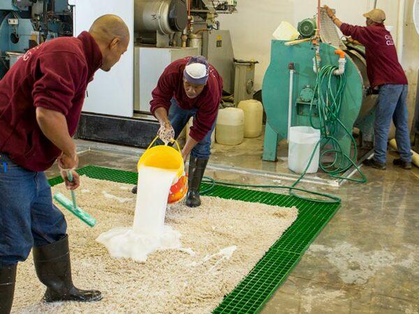 Carpet Cleaning FAQs