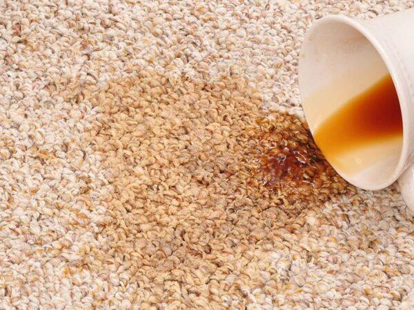 remove coffee stains from carpet