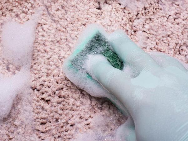 clean carpet