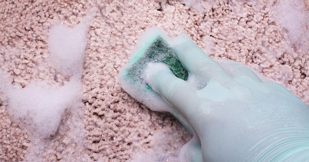 clean carpet