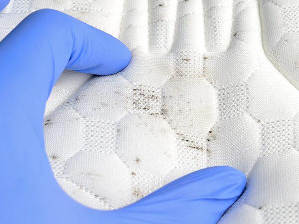 dealing with mould in cape town winters