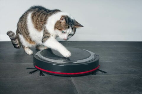 Best Robot Vacuums in South Africa