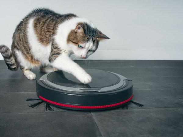 Best Robot Vacuums in South Africa in 2023