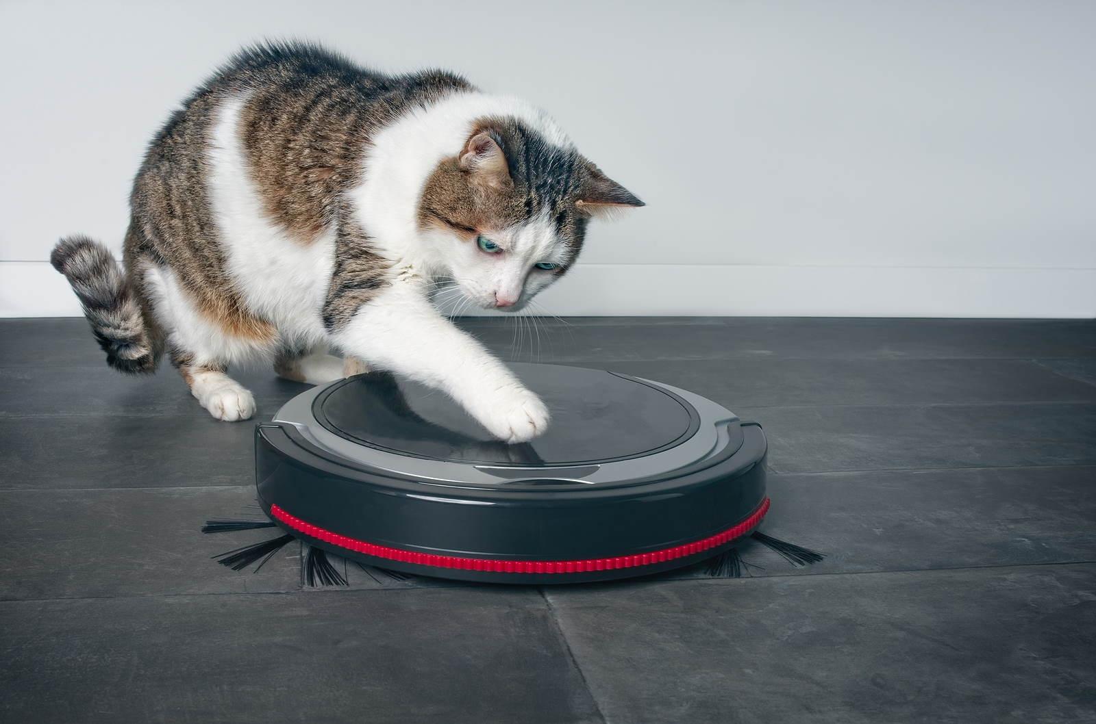 The 11 Best Robot Vacuums of 2024, Tested and Reviewed