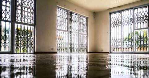 water damage to carpets in cape town