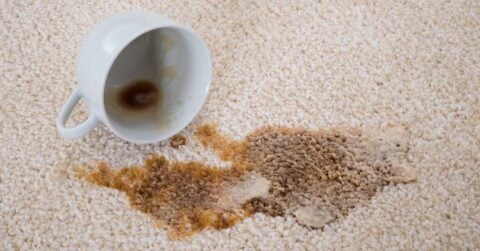 how to remove 6 of the most stubborn carpet stains