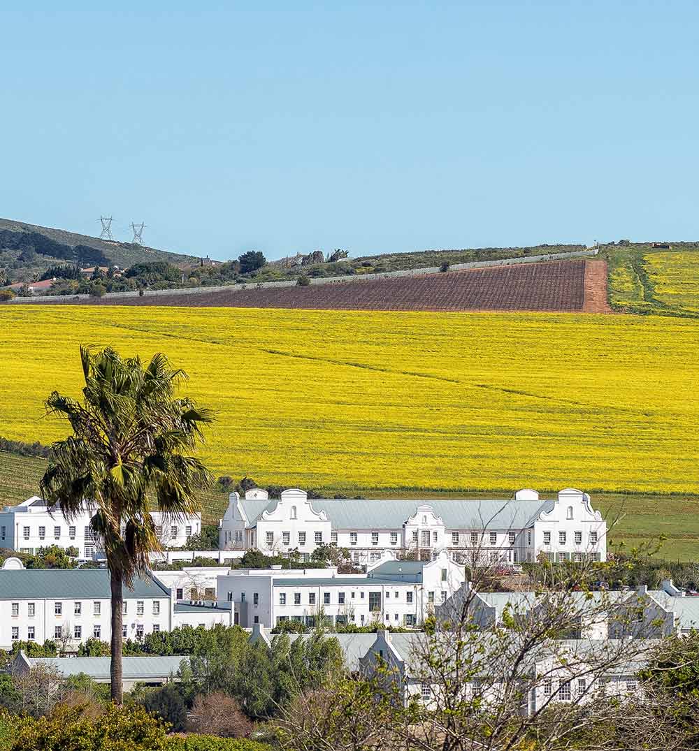 Local Cleaning Needs in Durbanville